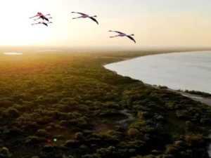 godrej eternal palms amenities